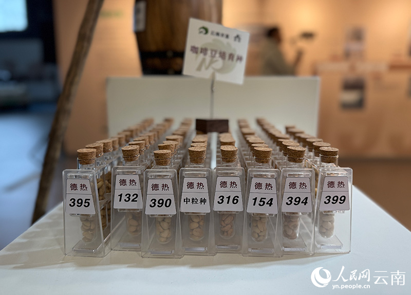 咖啡：从“出山”走向“出圈”pg电子免费试玩模拟器云南(图6)
