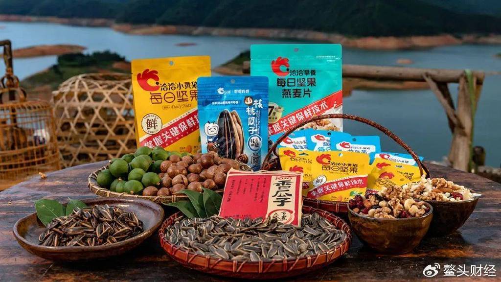 收增969%“向上”和“向外”协同发展pg电子试玩网站免费洽洽食品二季度营