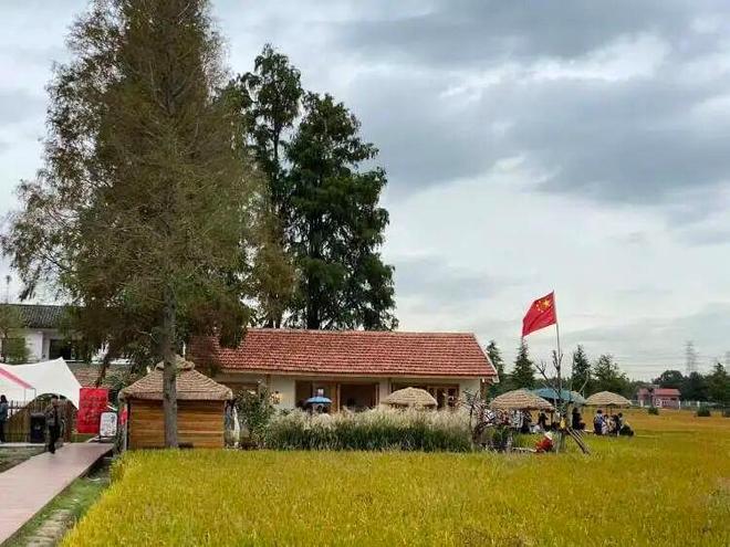 新姿势:去村里的咖啡馆“躺平”pg电子试玩网站免费解锁周末(图3) 新姿势:去村里的咖啡馆“躺平”pg电子试玩网站免费解锁周末(图3)