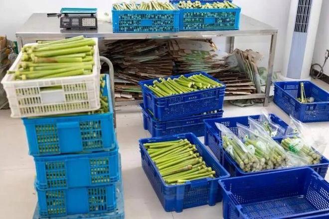 新姿势:去村里的咖啡馆“躺平”pg电子试玩网站免费解锁周末(图10) 新姿势:去村里的咖啡馆“躺平”pg电子试玩网站免费解锁周末(图10)